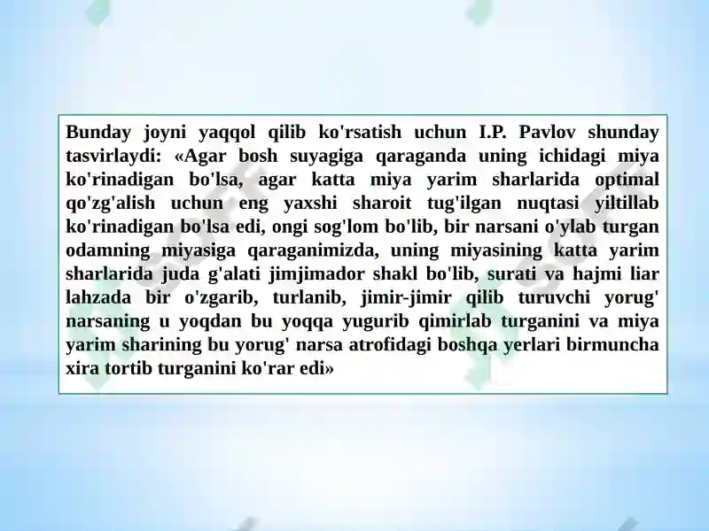 Preview 5