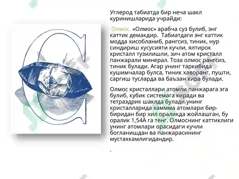 Preview 5