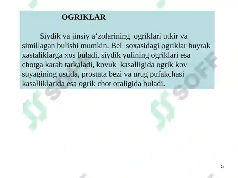 Preview 5