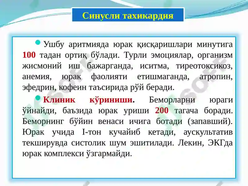 Preview 5