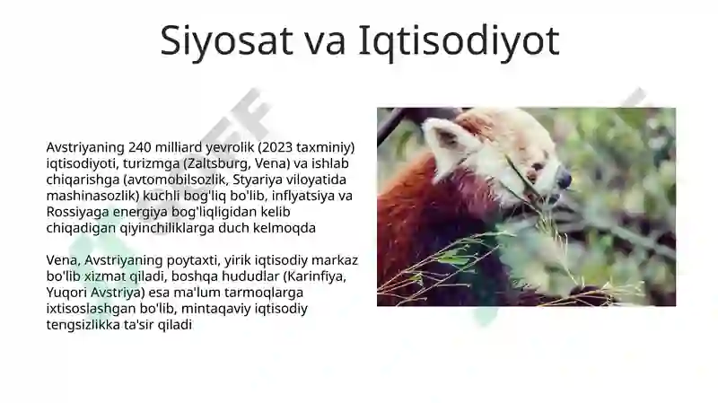 Preview 5