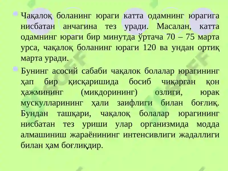 Preview 5