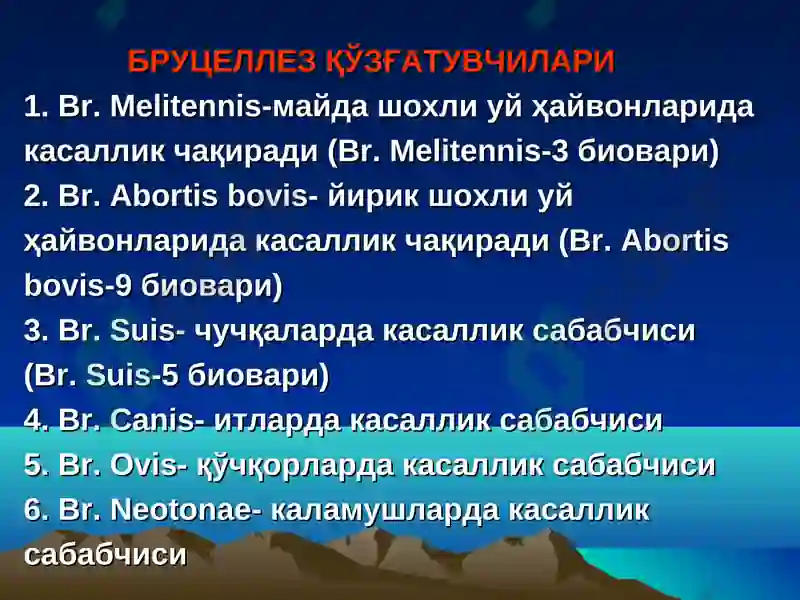 Preview 6