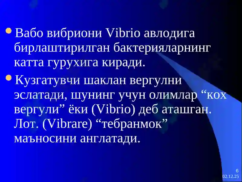 Preview 6