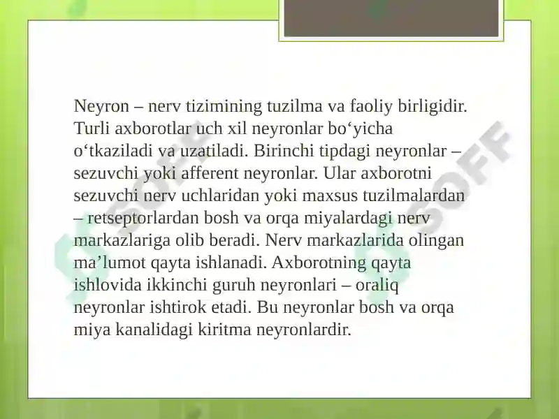 Preview 6