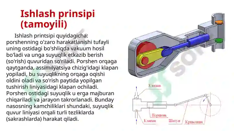 Preview 6