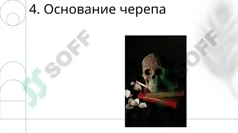 Preview 6