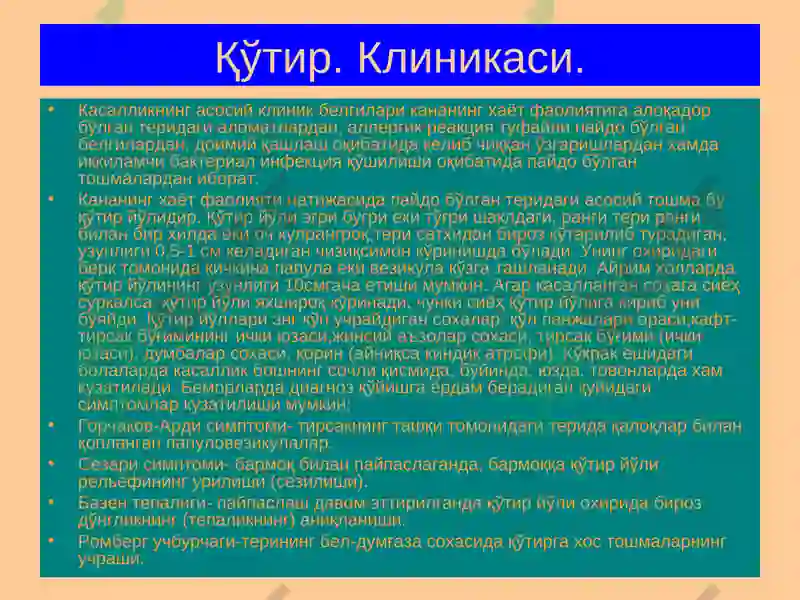 Preview 6