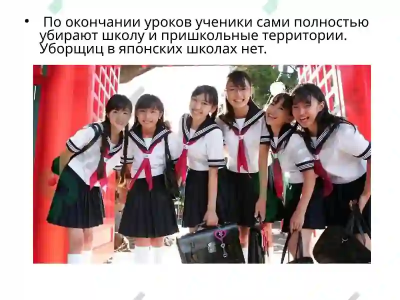 Preview 7