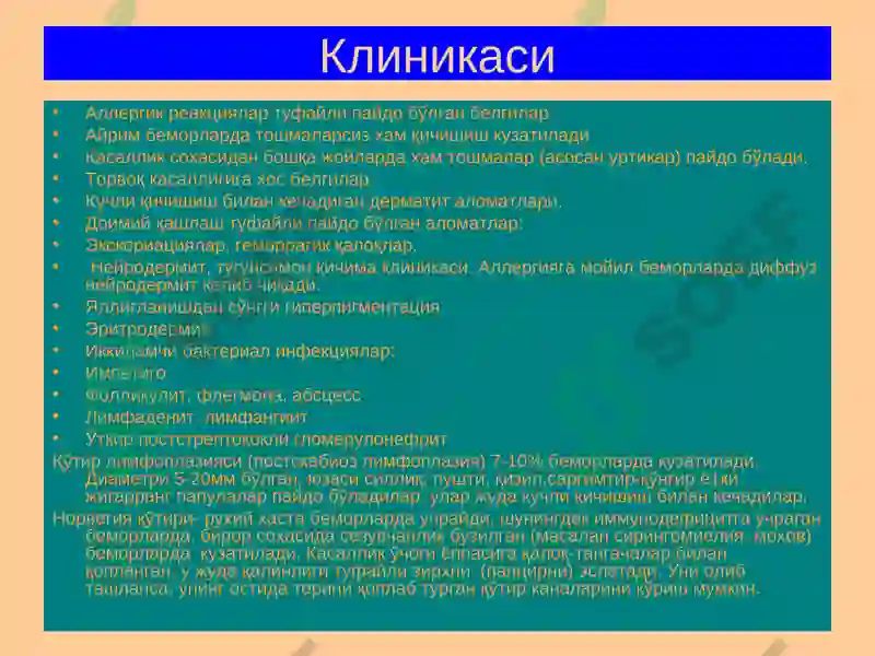 Preview 7