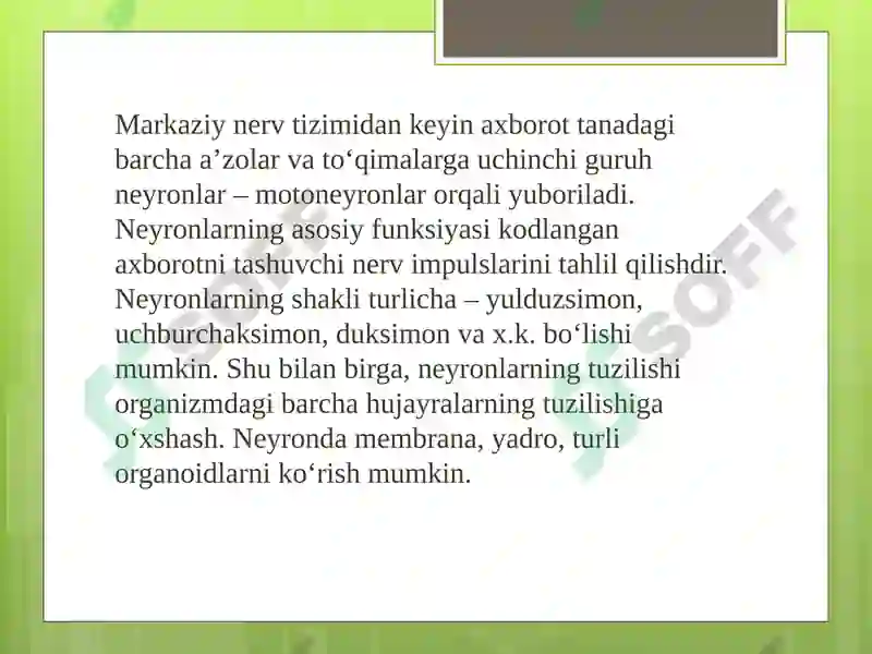 Preview 7