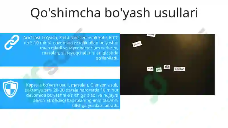 Preview 7