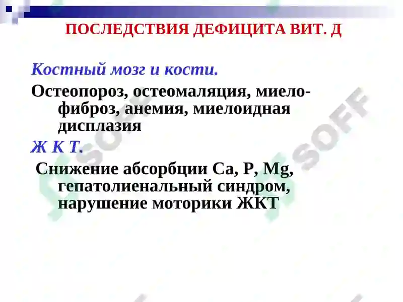 Preview 7