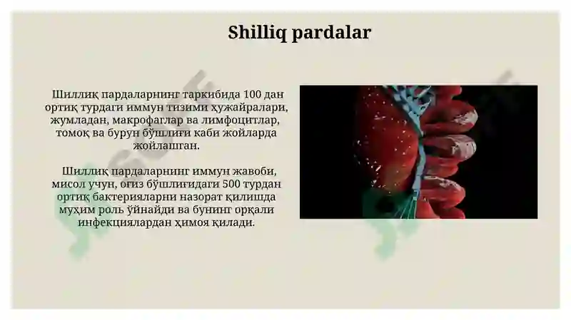 Preview 7