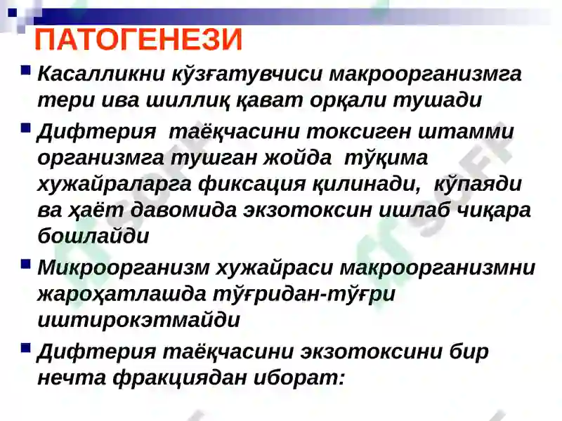 Preview 7