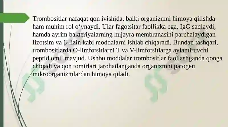 Preview 8