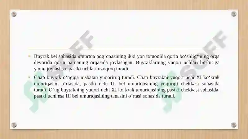 Preview 8