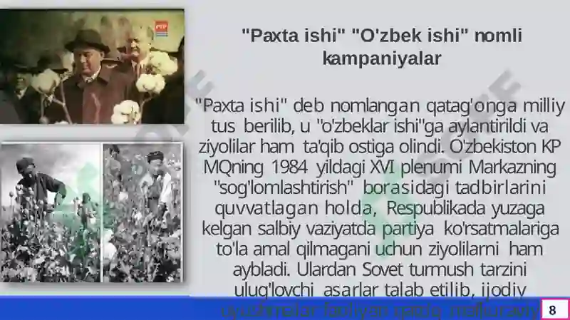 Preview 8
