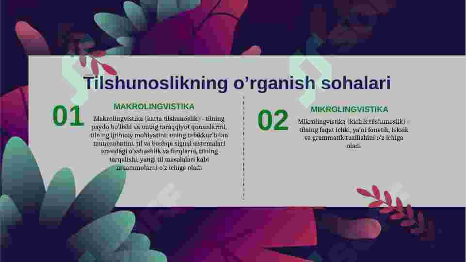 Preview 4
