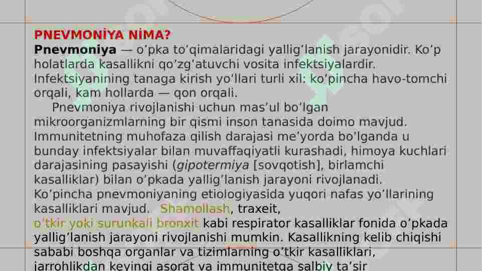 Preview 5
