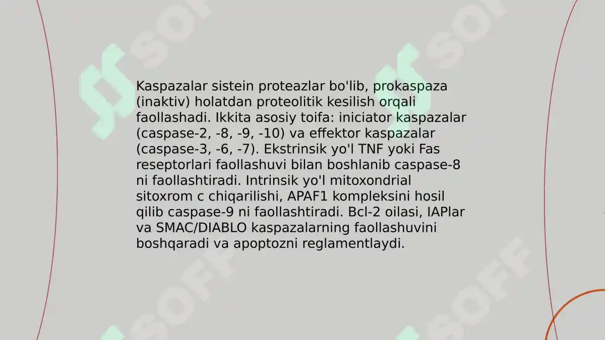 Preview 8