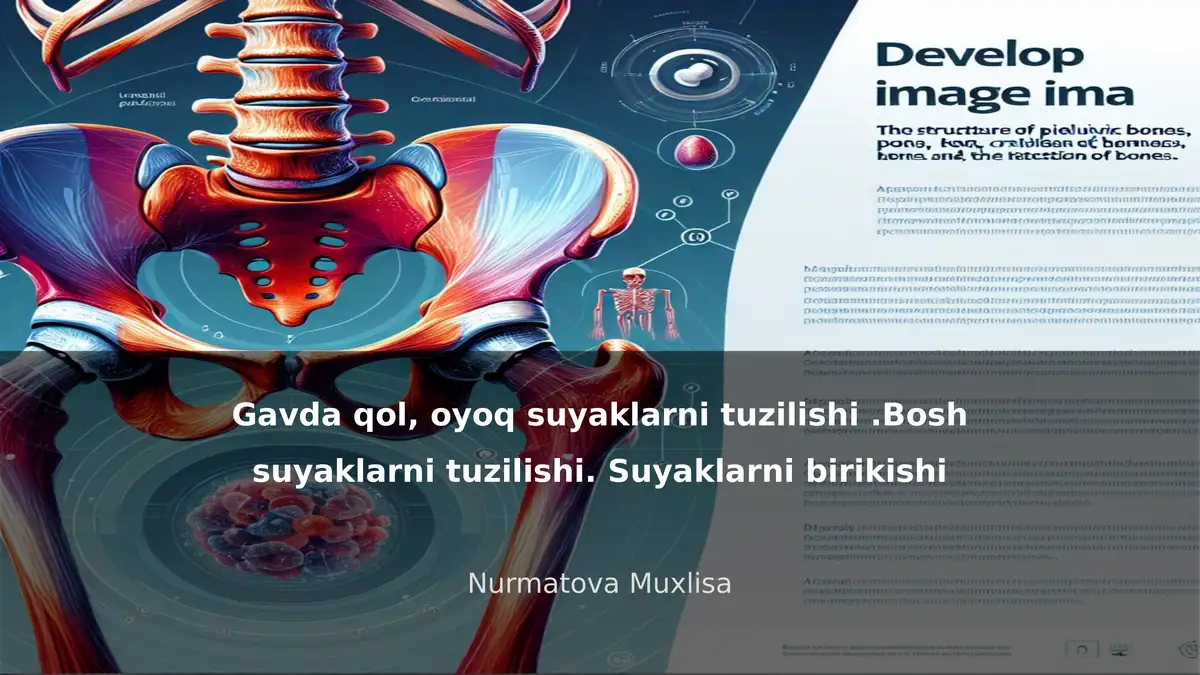 Inson Suyaklari Tuzilishi: Gavda, Qo'l, Oyoq va Bosh