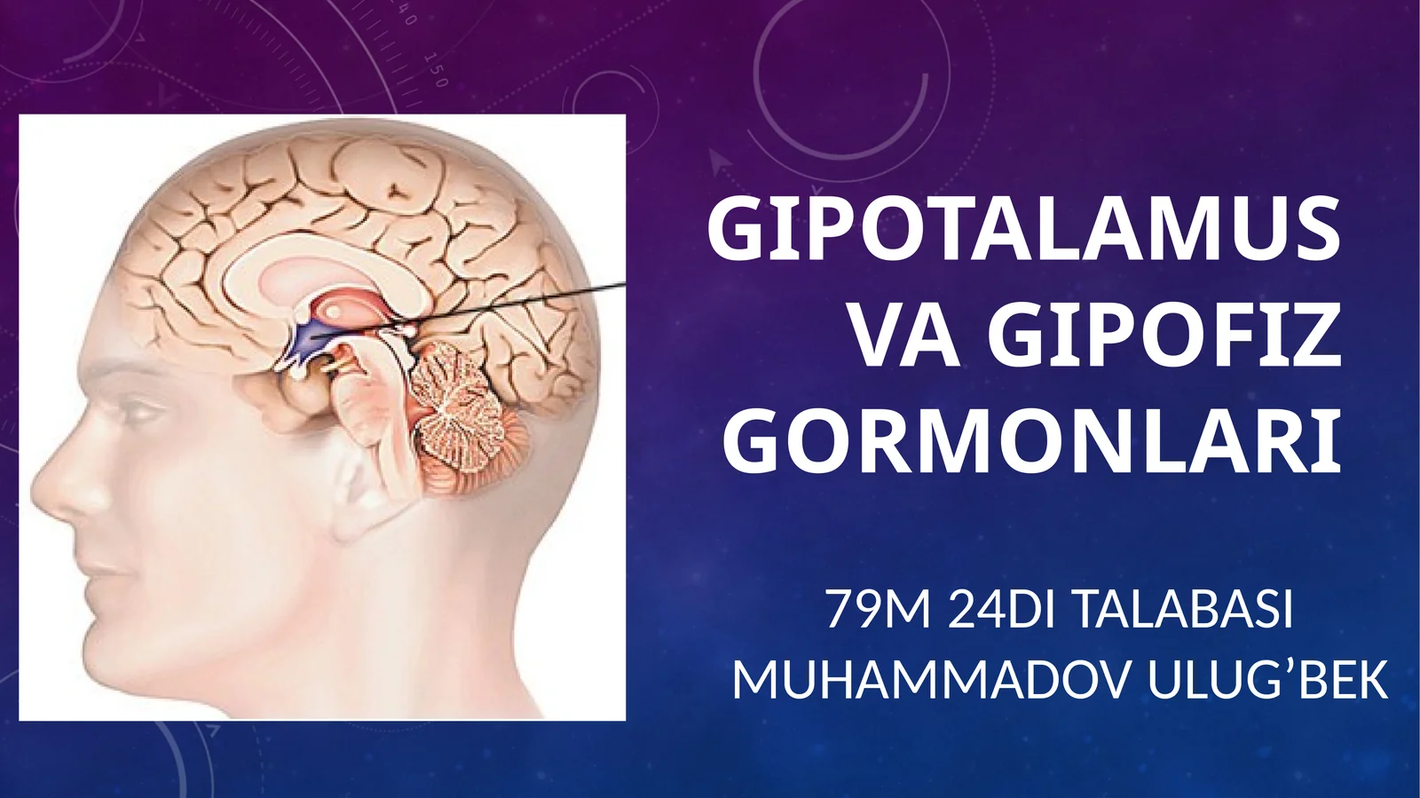 Gipotalamus va gipofiz gormonlari