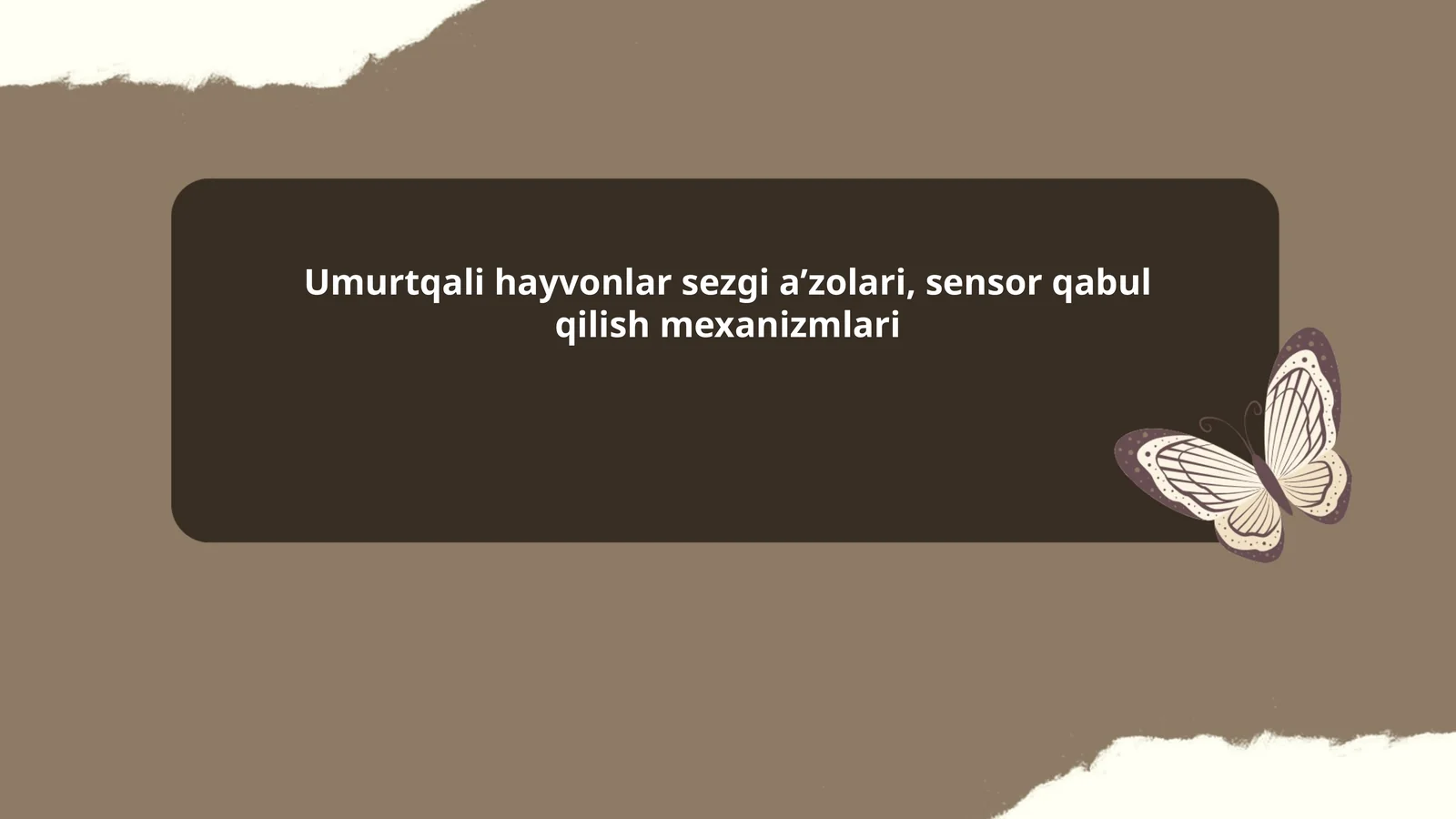 Umurtqali hayvonlar sezgi aʼzolari, sensor qabul qilish mexanizmlari