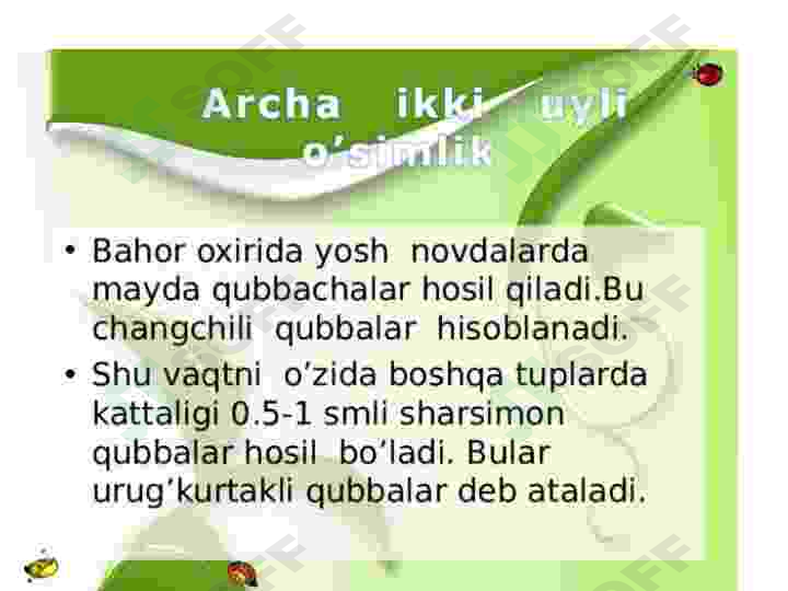 Product slide 8