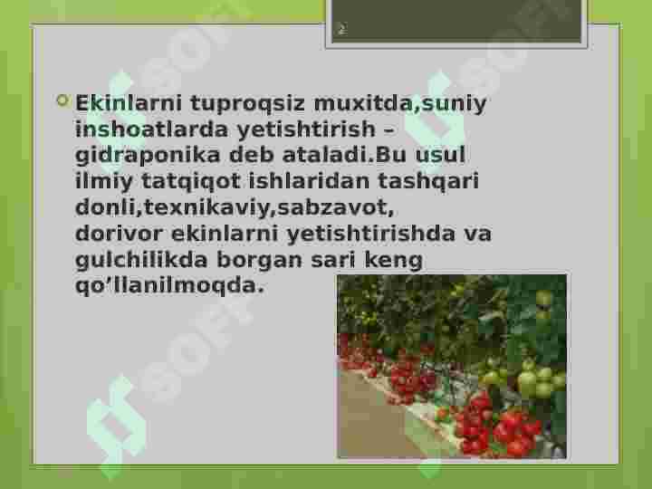 Product slide 2
