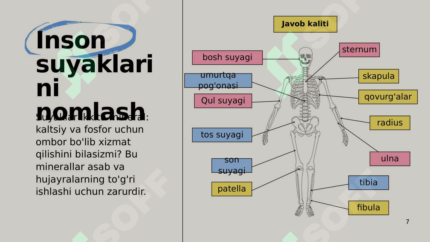 Product slide 7