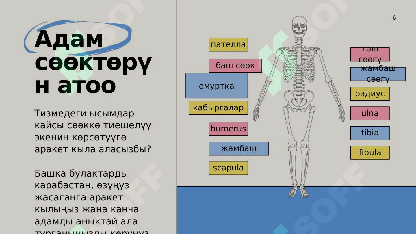 Product slide 6