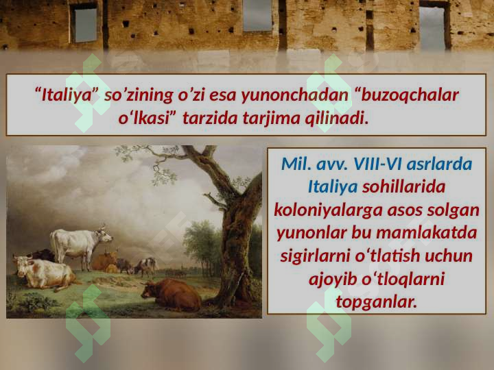 Product slide 6