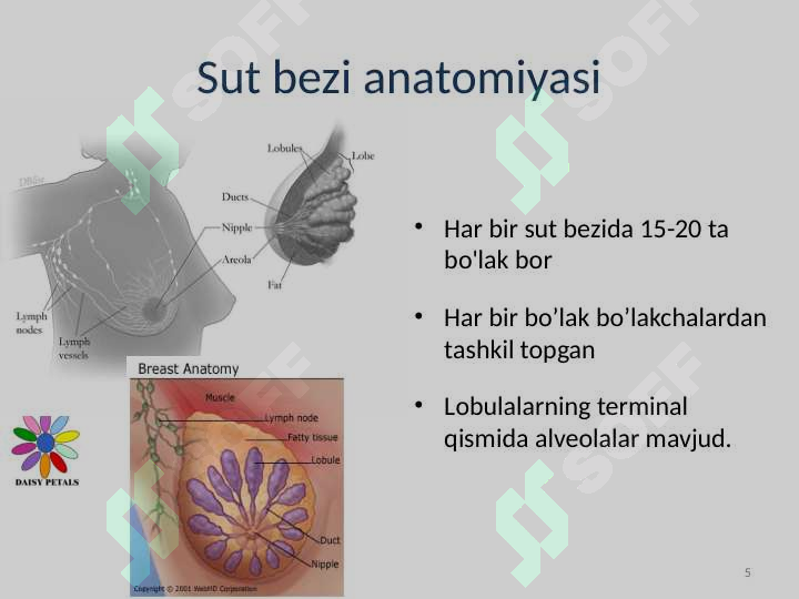 Product slide 5