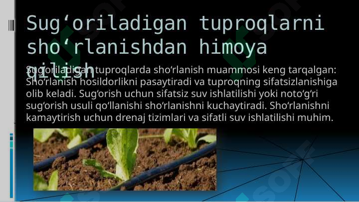 Product slide 6