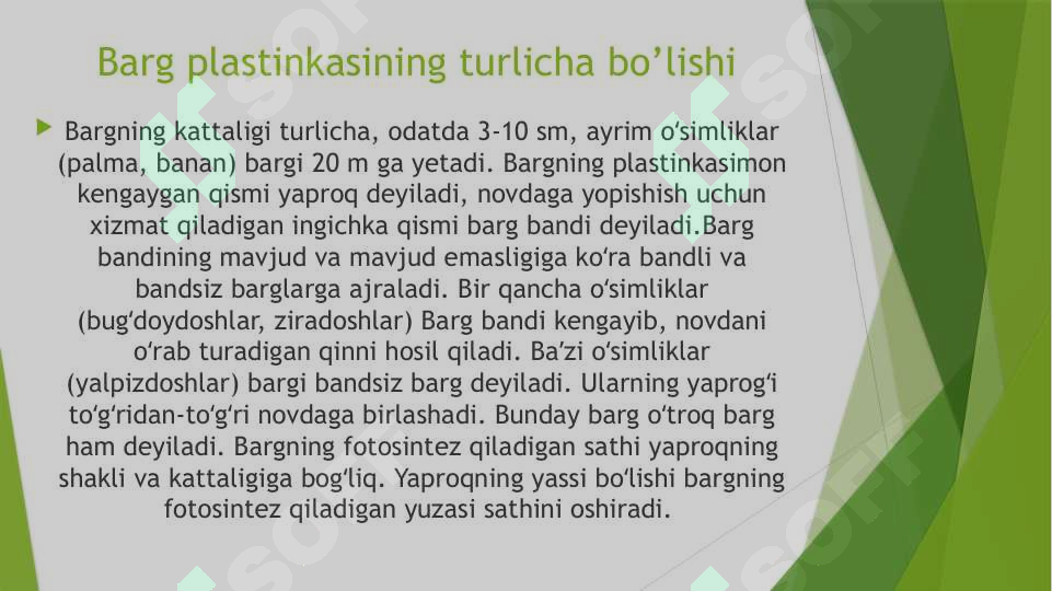 Product slide 5