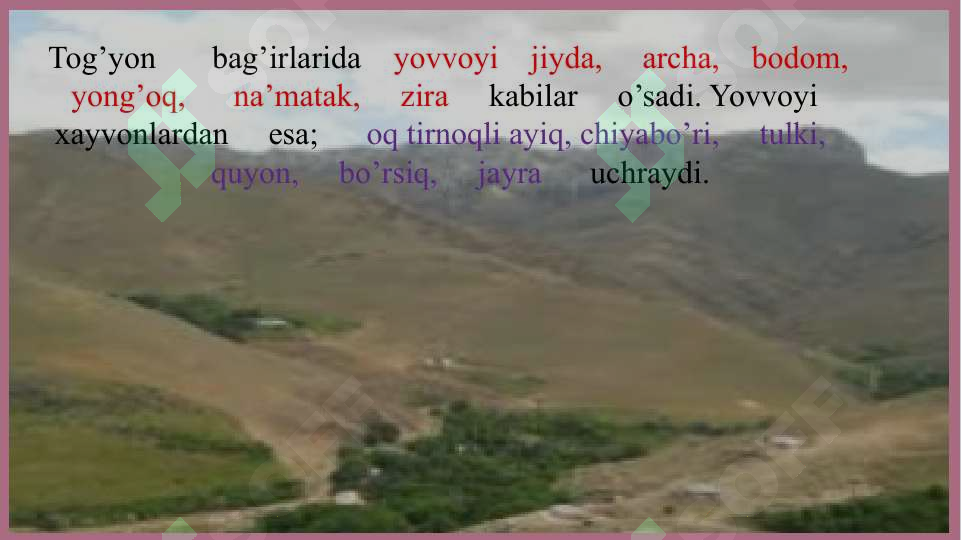 Product slide 8