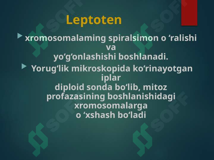 Product slide 6