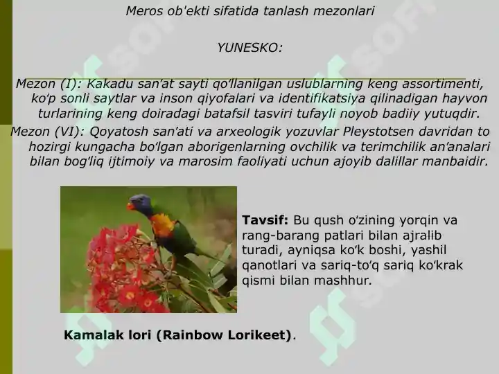 Product slide 8