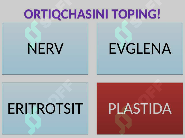 Product slide 7