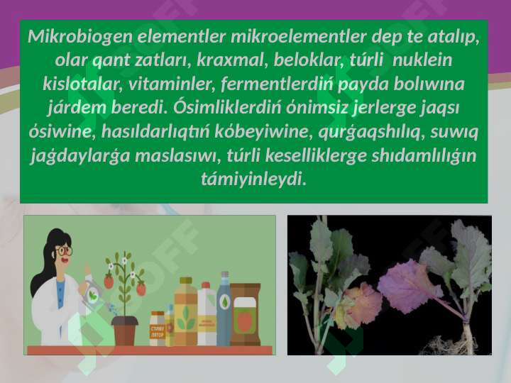 Product slide 6