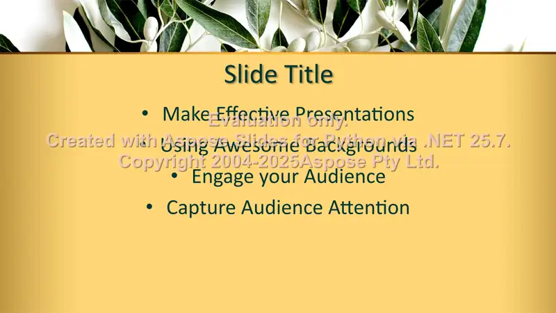 Product slide 2