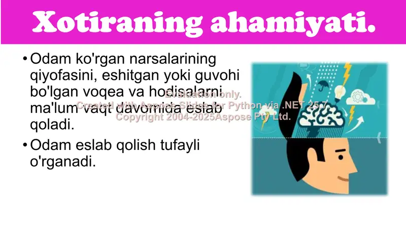 Product slide 2