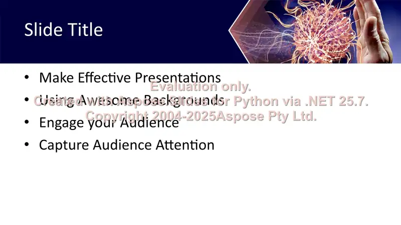 Product slide 2