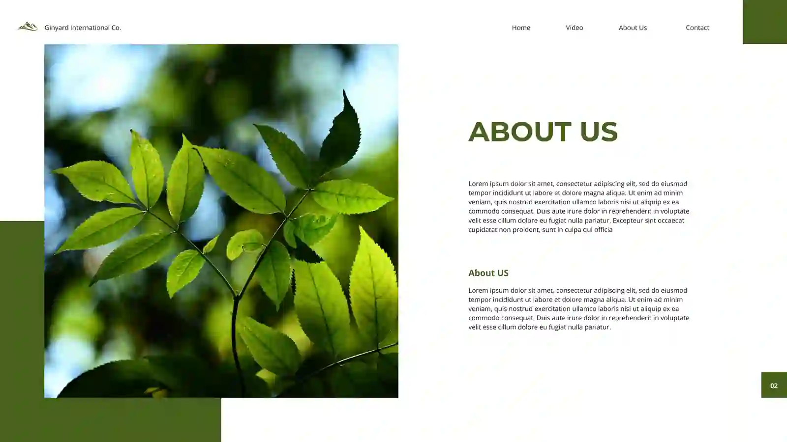 Product slide 2