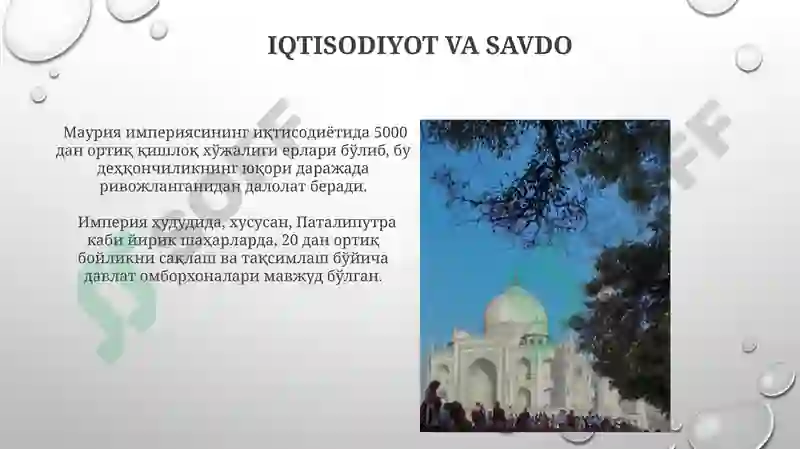 Product slide 7