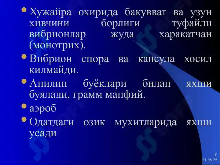 Product slide 7