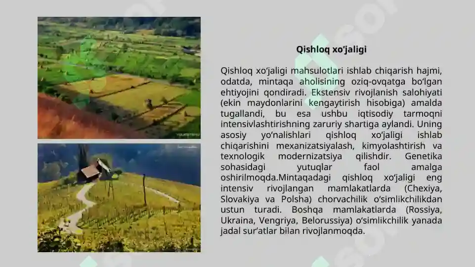 Product slide 8