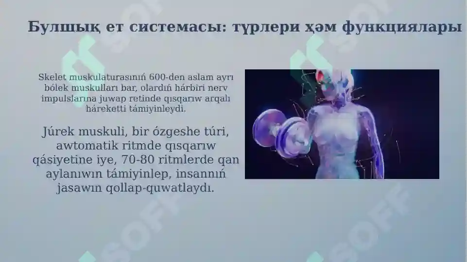 Product slide 5