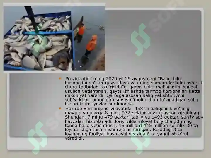 Product slide 8